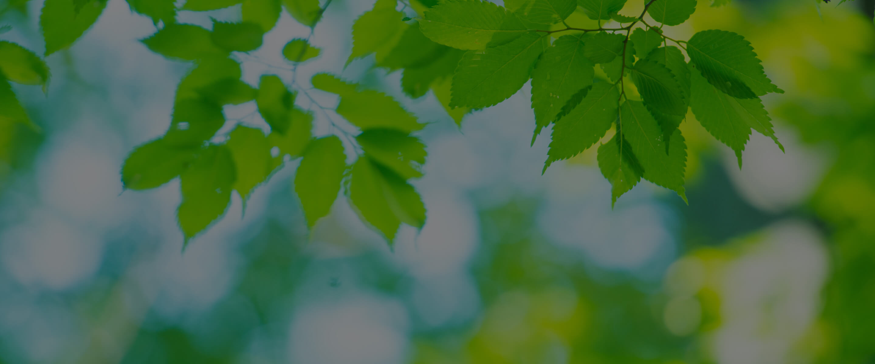 ZEH-M & 低炭素建築物