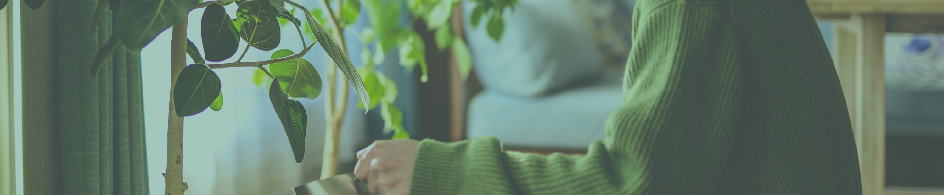 ZEH-M Oriented（ゼッチ オリエンテッド）とは？